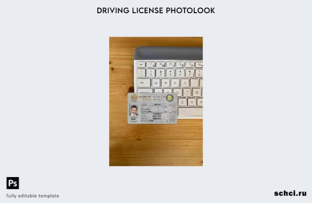 цифровая загрузка шаблона UAE DL Photolook FRONT